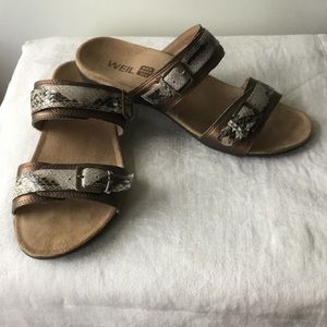 Dr. Andrew Weil Mystic Slides