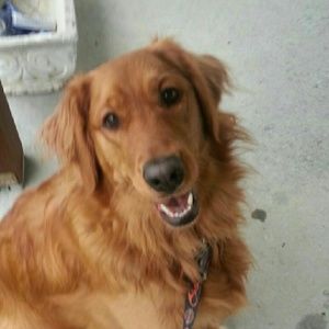 Meet your Posher, Cathey