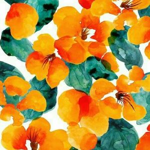 Meet your Posher, Zodi