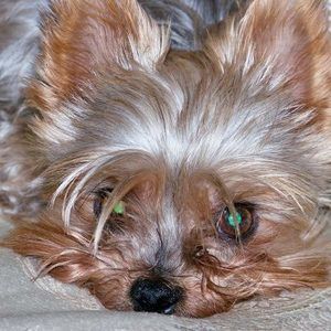 Meet your Posher, Jamie