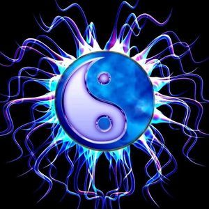 Meet your Posher, Jasminda