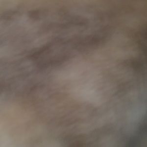 Meet your Posher, Guadalupe