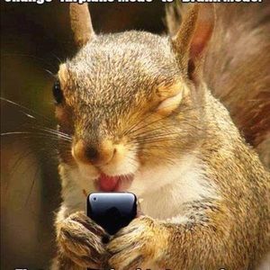 Meet your Posher, Lorrie