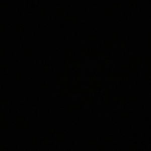 Meet your Posher, Ruth