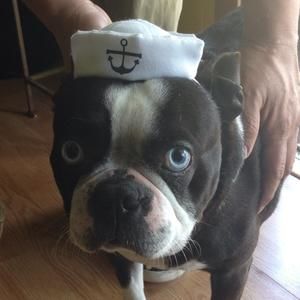 Meet your Posher, Olga