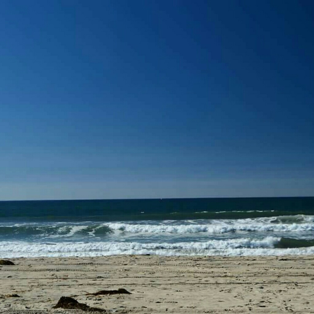 Meet your Posher, Lael