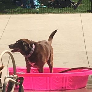 Meet your Posher, Jackie