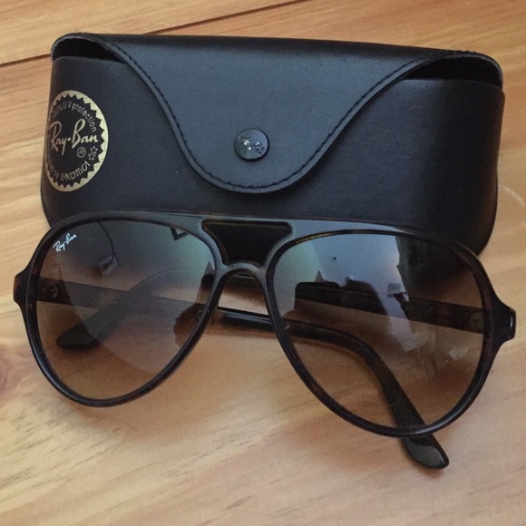 Ray Ban Cats