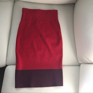 Express Pencil Skirt