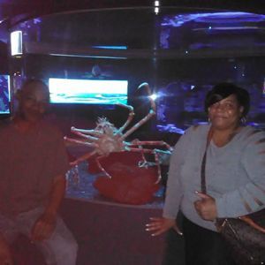 Meet your Posher, Janet