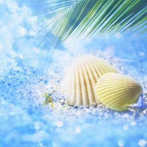 Meet your Posher, Chelsea