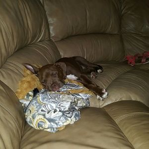 Meet your Posher, Kerri