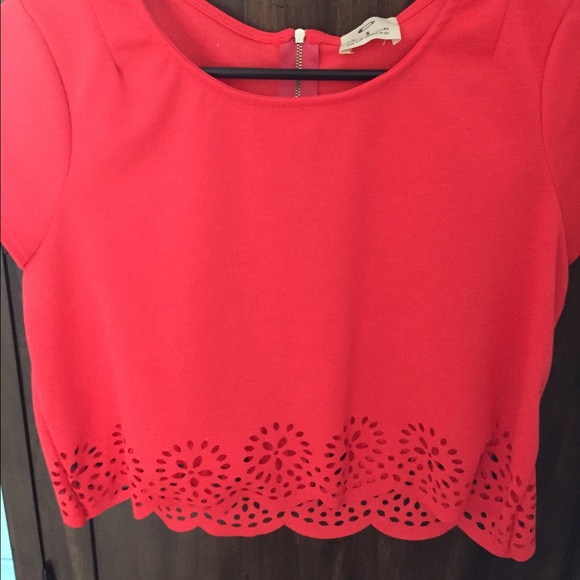 Salmon Crop top