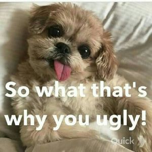 Meet your Posher, Latrice