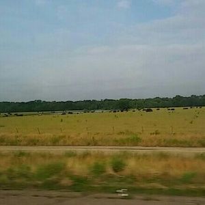 Meet your Posher, Belmaris