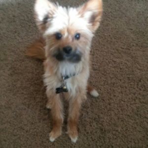 Meet your Posher, Alaza