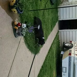 Meet your Posher, Sam