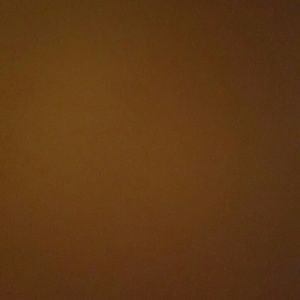 Meet your Posher, Jordyn