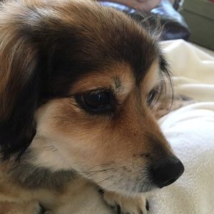 Meet your Posher, Lou ellen