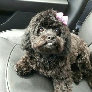 Meet your Posher, Sara