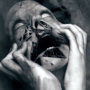 Meet your Posher, Emery