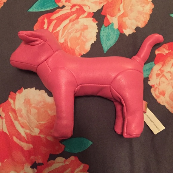VS PINK billion dollar dog