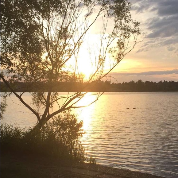 Meet your Posher, Zoe - Picture 1 of 1