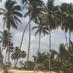 Meet your Posher, Althea