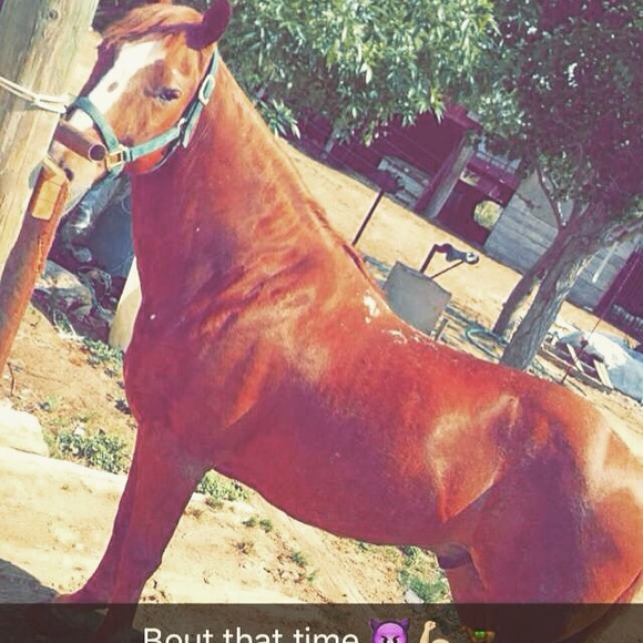 Meet your Posher, Miguel - Picture 1 of 1