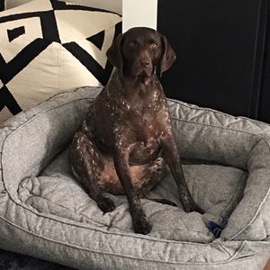 Meet your Posher, Wendy