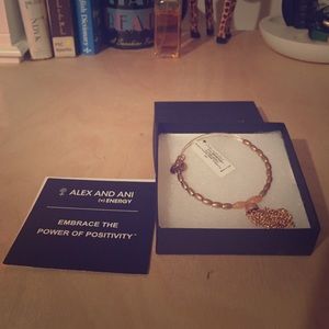 Alex and Ani Positivity of Power bracelet