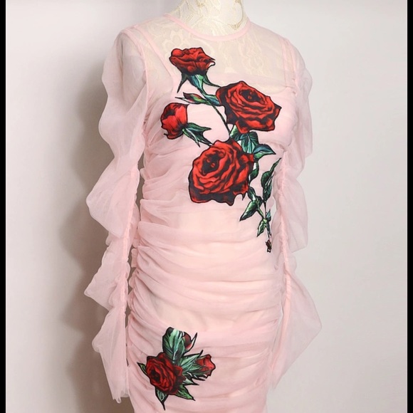 Rose mesh dress.