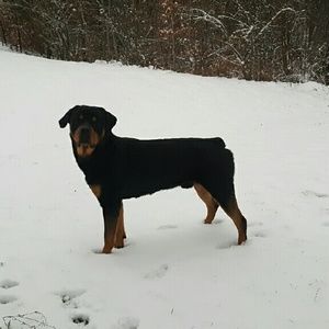 Meet your Posher, April