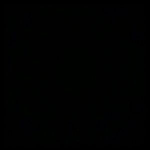 Meet your Posher, Angelique