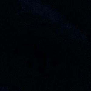 Meet your Posher, Ishanna