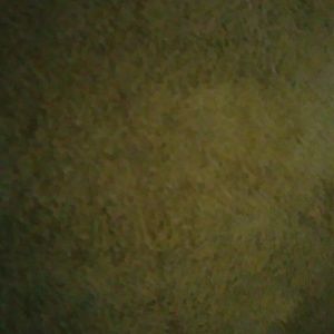 Meet your Posher, Freddie