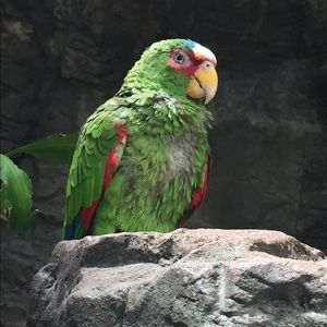 Meet your Posher, Becky