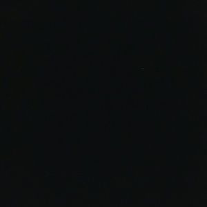 Meet your Posher, Evelyn