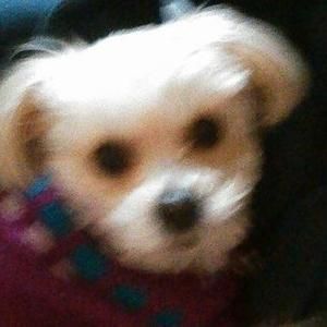 Meet your Posher, Jacqueline