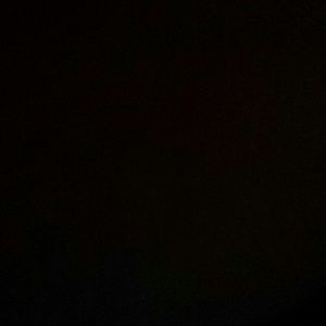 Meet your Posher, Ginger