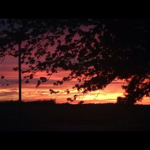 Meet your Posher, Dalayne