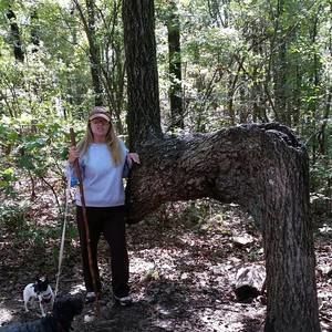 Meet your Posher, Linda