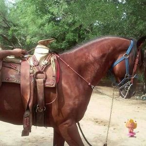 Meet your Posher, Michelle