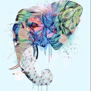 Meet your Posher, Jen