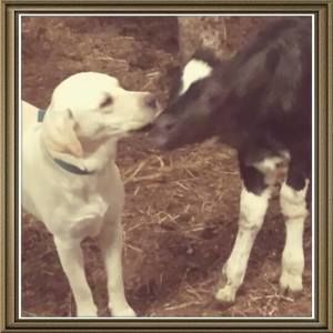 Meet your Posher, Kirsten