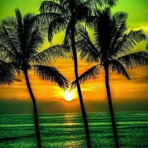 Meet your Posher, Teresa