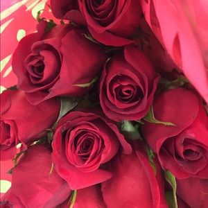 Meet your Posher, Dinah