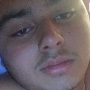 Meet your Posher, Lama