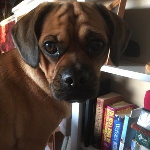 Meet your Posher, Heather