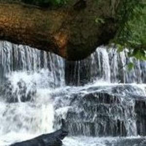 Meet your Posher, Maureen